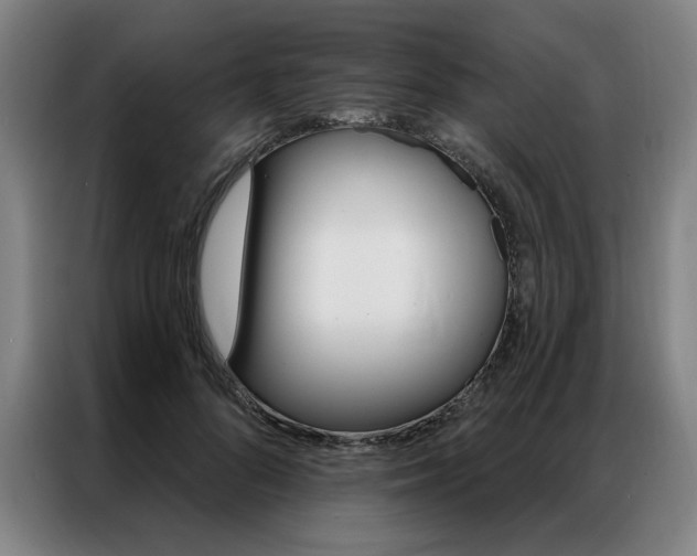 X0000087350696200704200805