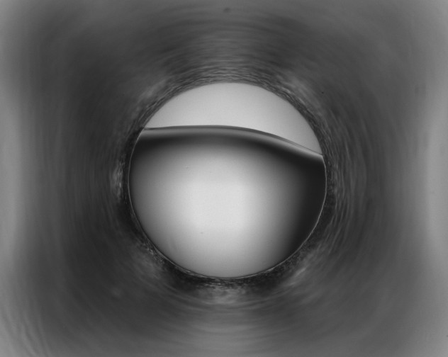 X0000087350697200704200805