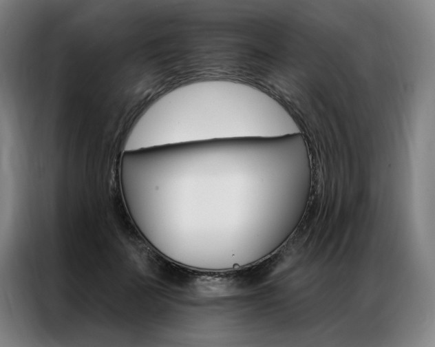 X0000087350699200704200804