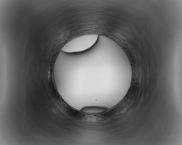 X0000087350703200704200804