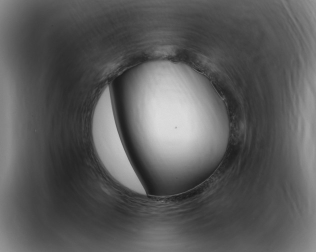 X0000087350704200704200804