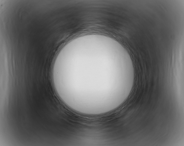 X0000087350705200704200804