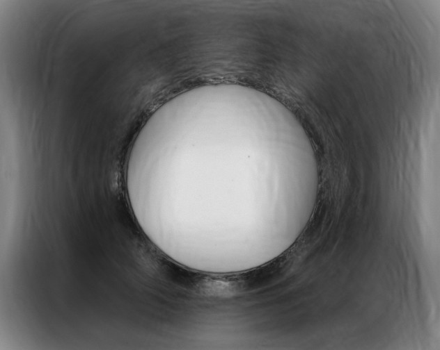 X0000087350706200704200804