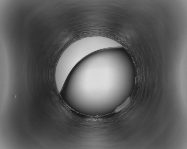 X0000087350712200704200804
