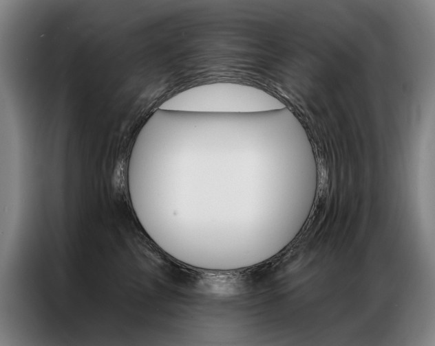 X0000087350713200704200804
