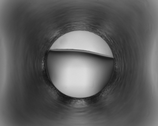 X0000087350715200704200804