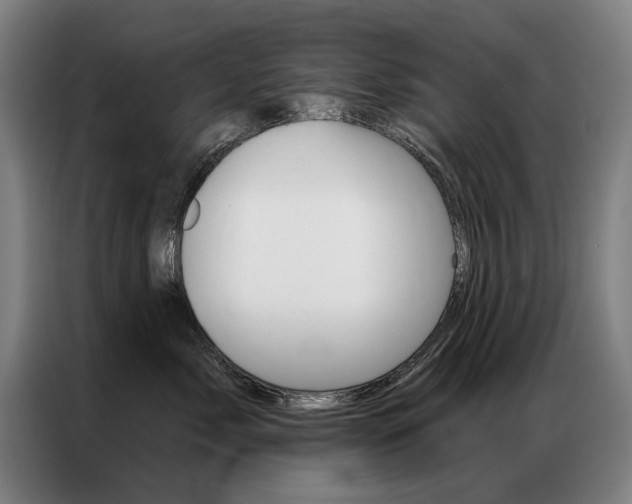 X0000087350717200704200804