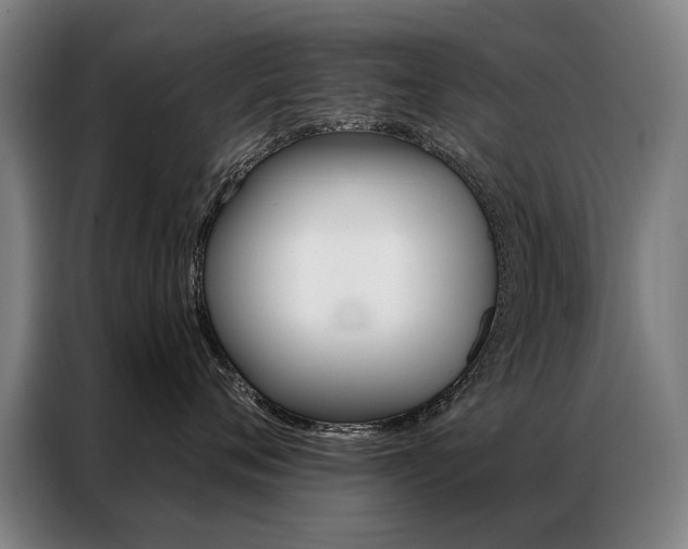 X0000087350720200704200804
