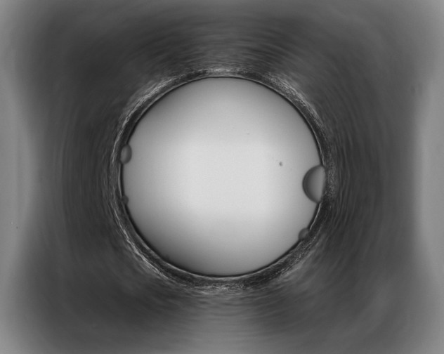 X0000087350721200704200804
