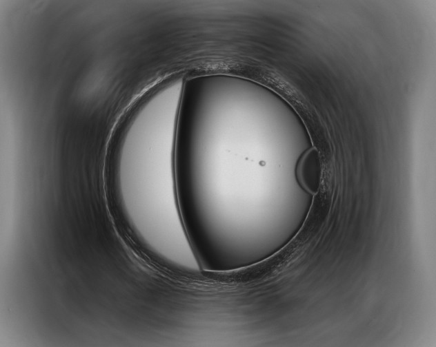 X0000087350722200704200804