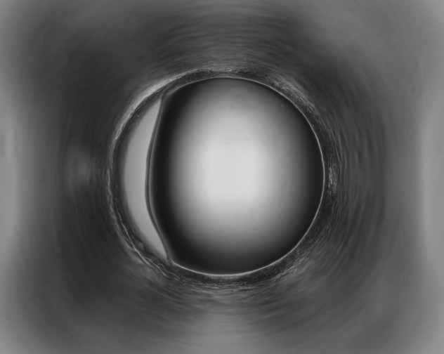 X0000087350724200704200804