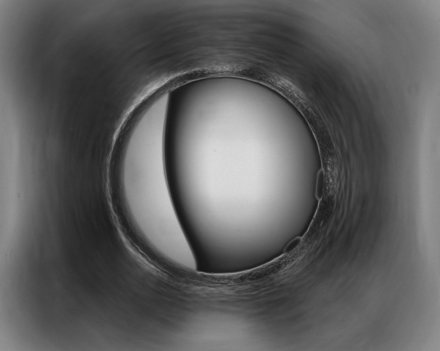 X0000087350726200704200804