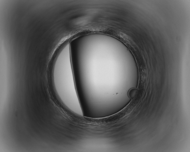 X0000087350727200704200804