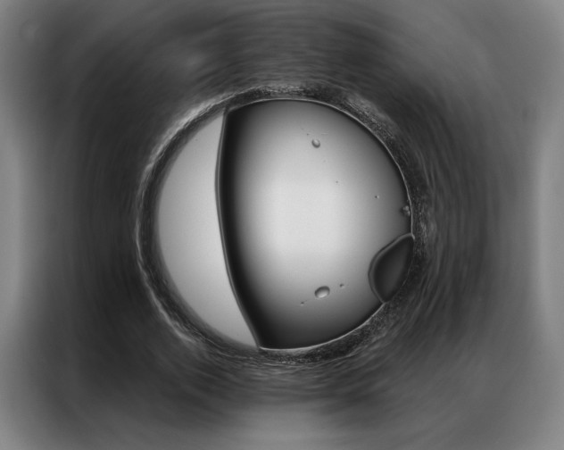 X0000087350728200704200804