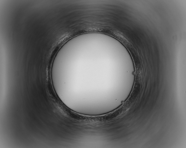 X0000087350729200704200804