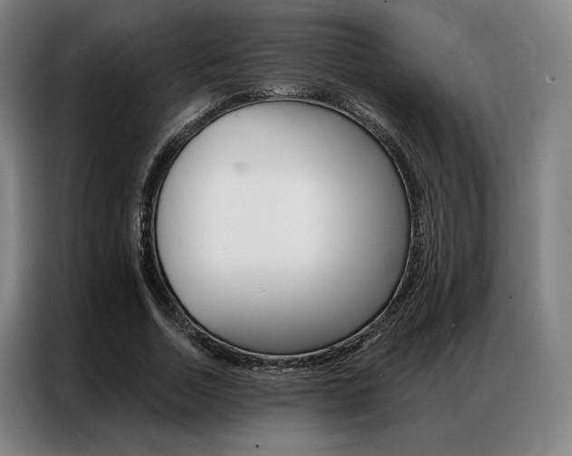 X0000087350730200704200804