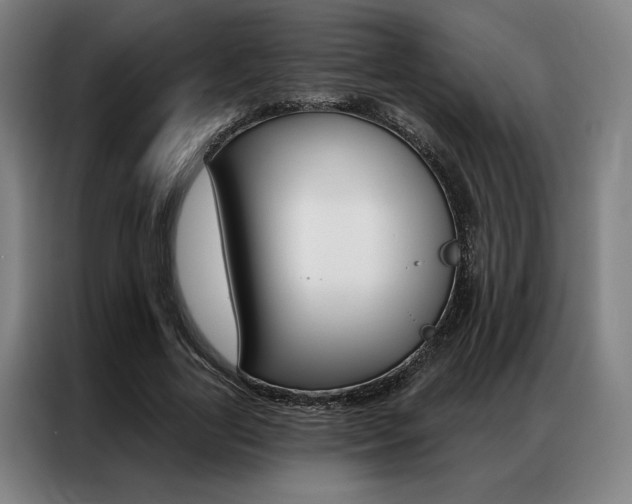 X0000087350731200704200804