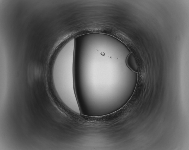 X0000087350732200704200804
