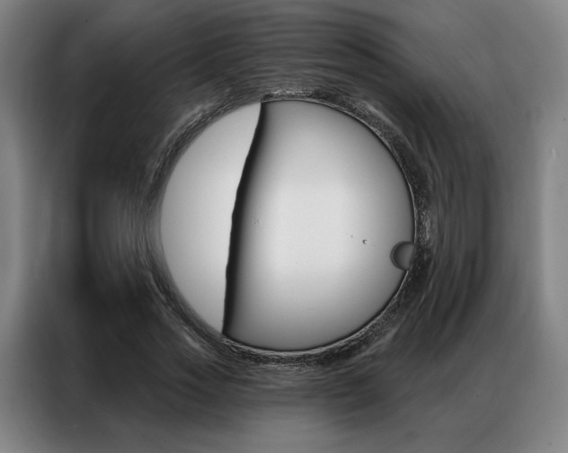 X0000087350733200704200804
