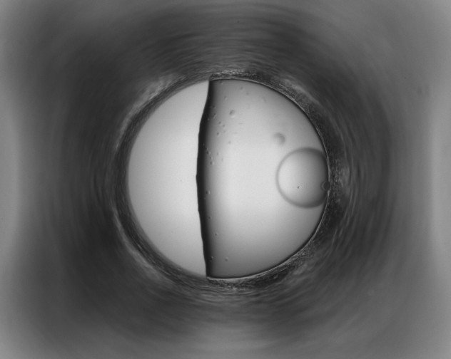 X0000087350734200704200804