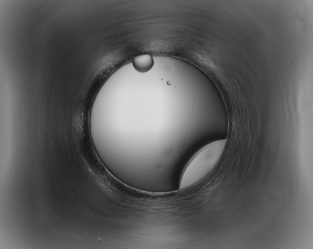 X0000087350735200704200804