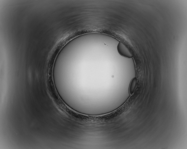 X0000087350736200704200804