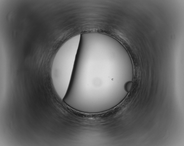 X0000087350737200704200804