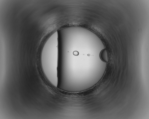 X0000087350738200704200804