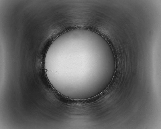 X0000087350739200704200804