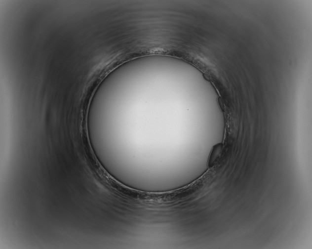 X0000087350740200704200804
