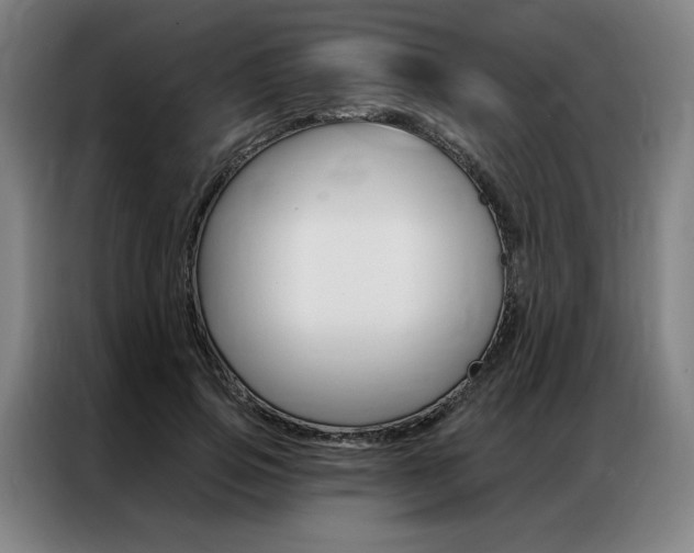 X0000087350741200704200804