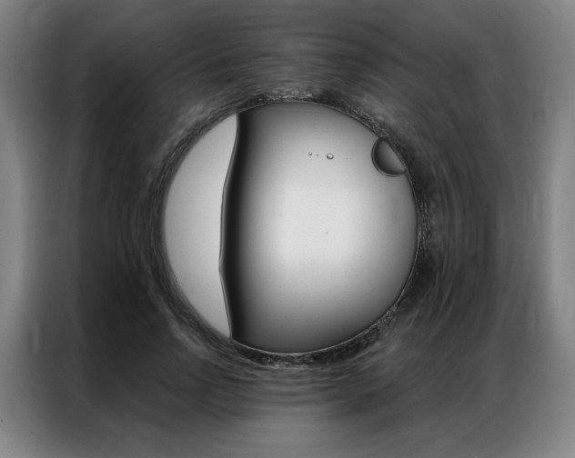 X0000087350742200704200804