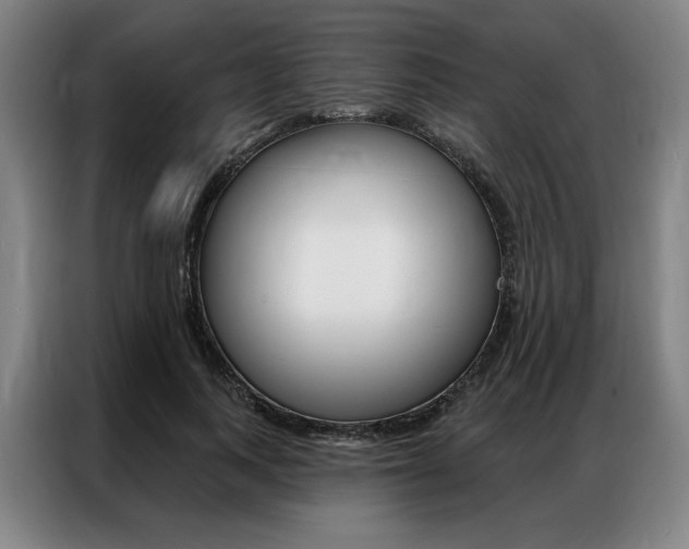 X0000087350743200704200804