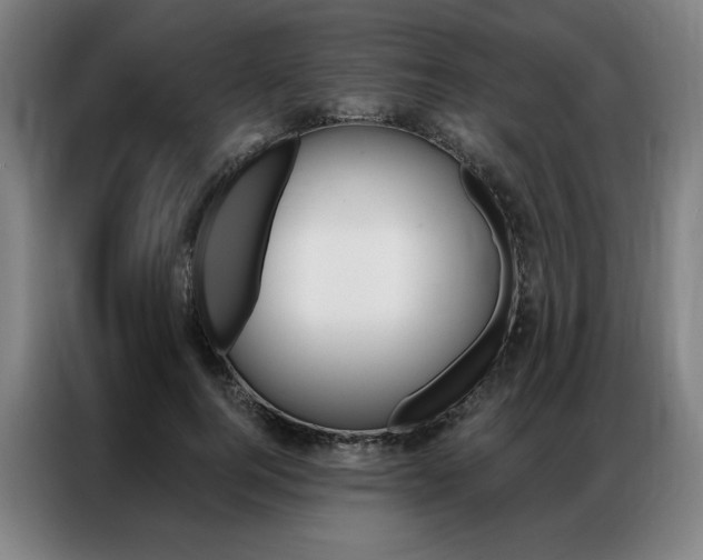 X0000087350744200704200804