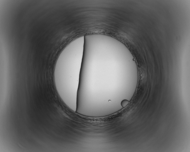 X0000087350745200704200804