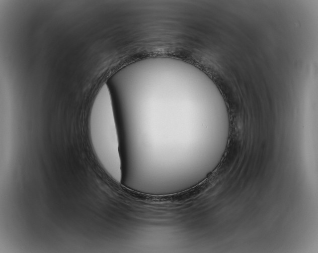 X0000087350746200704200804