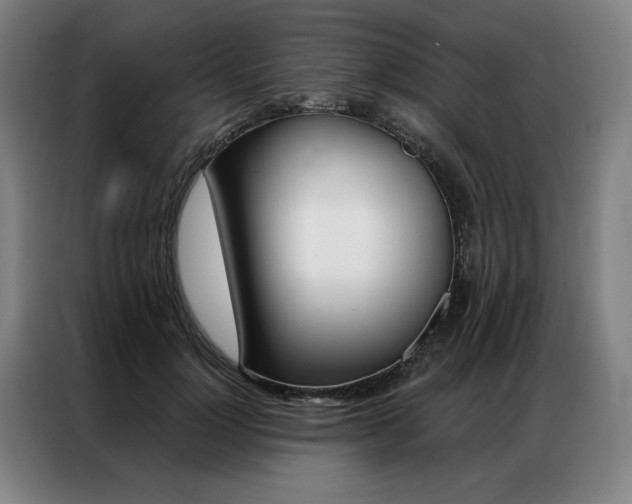 X0000087350748200704200804