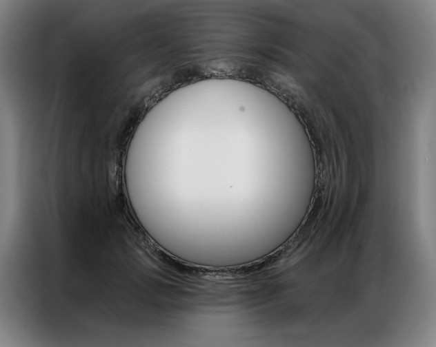 X0000087350749200704200804
