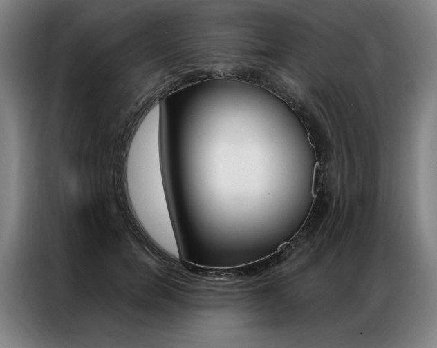 X0000087350750200704200804