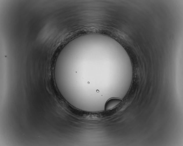 X0000087350751200704200804