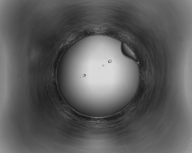 X0000087350752200704200804