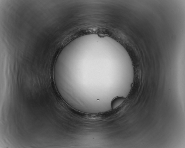 X0000087350754200704200804