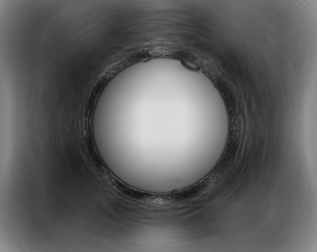 X0000087350755200704200804