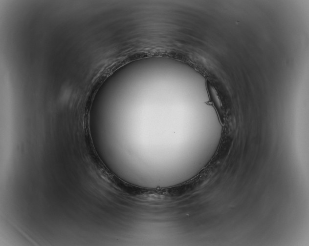 X0000087350756200704200804