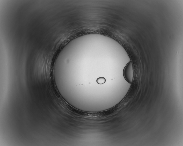 X0000087350758200704200804