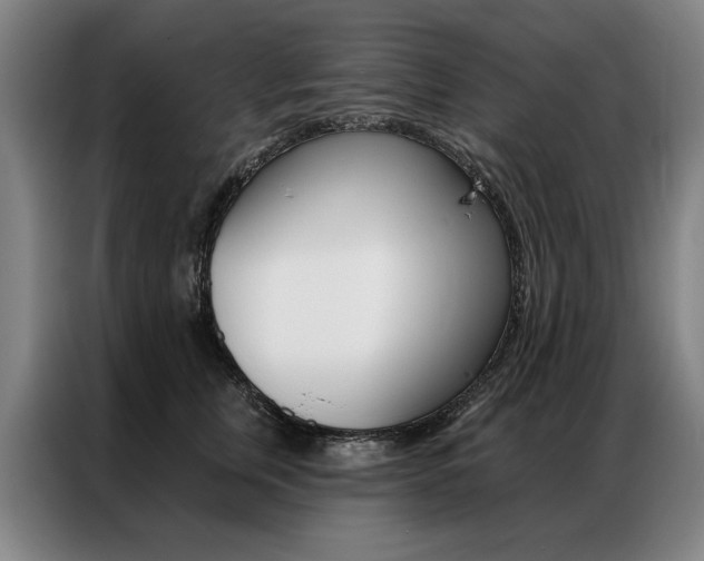 X0000087350759200704200804