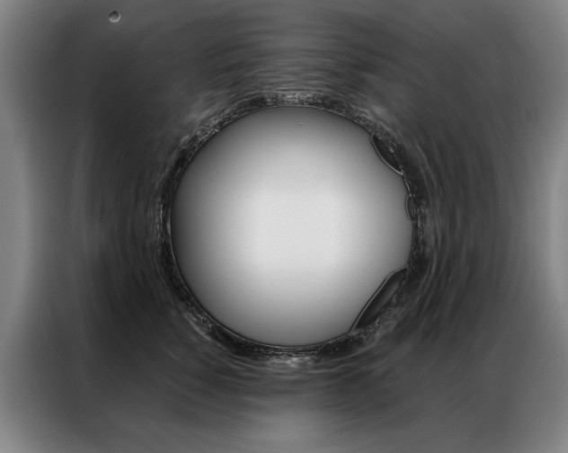 X0000087350760200704200804