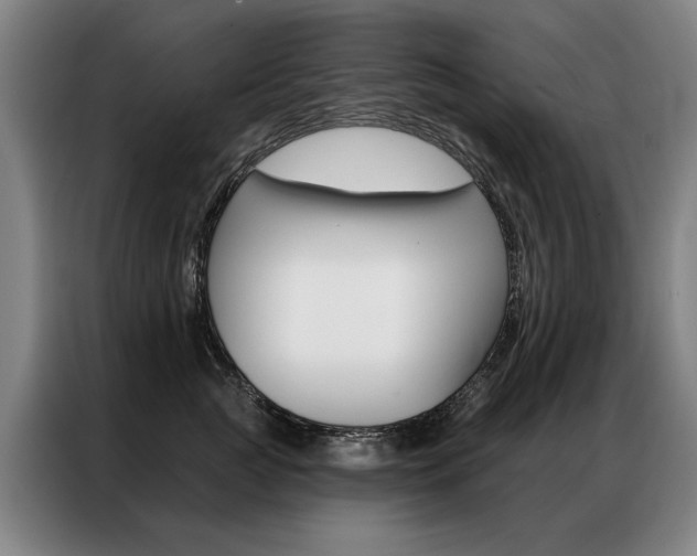 X0000087350761200704200804