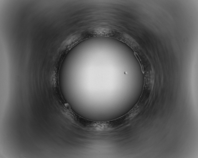 X0000087350762200704200804