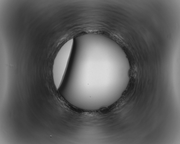 X0000087350763200704200804